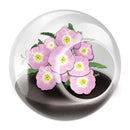 Tiny Terrarium - Flowering
