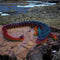 Crystalis Dragon (Large)