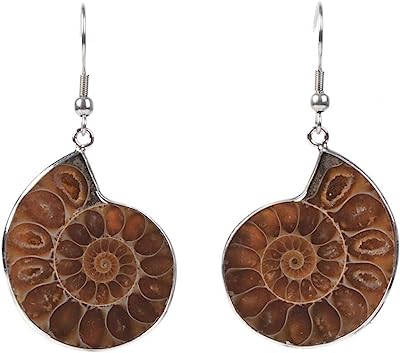 Polished Ammonite Earrings