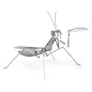 Praying Mantis Model Kit