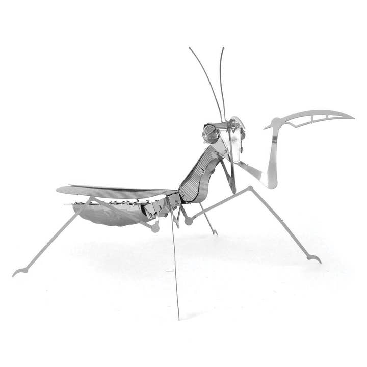Praying Mantis Model Kit
