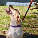 Tribal Pattern Ecuadorian Pet Dog Leash