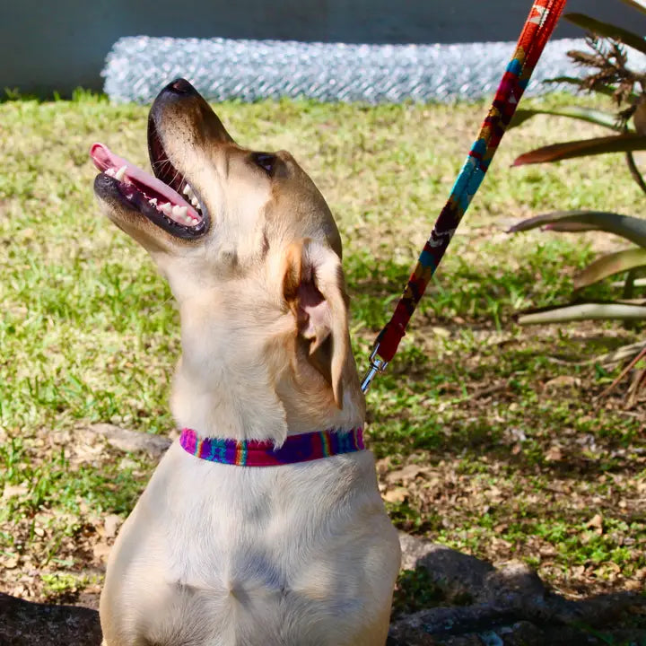 Tribal Pattern Ecuadorian Pet Dog Leash