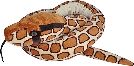 Sunbeam Python Local Snake Burmese Python – Sunbeam General Store