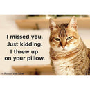 I Missed You. Just Kidding. Magnet