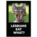 Lesbians Eat What? Magnet