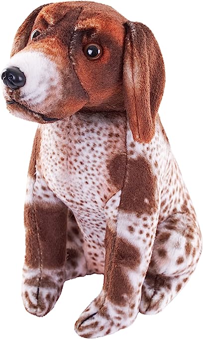 Rescue German Pointer