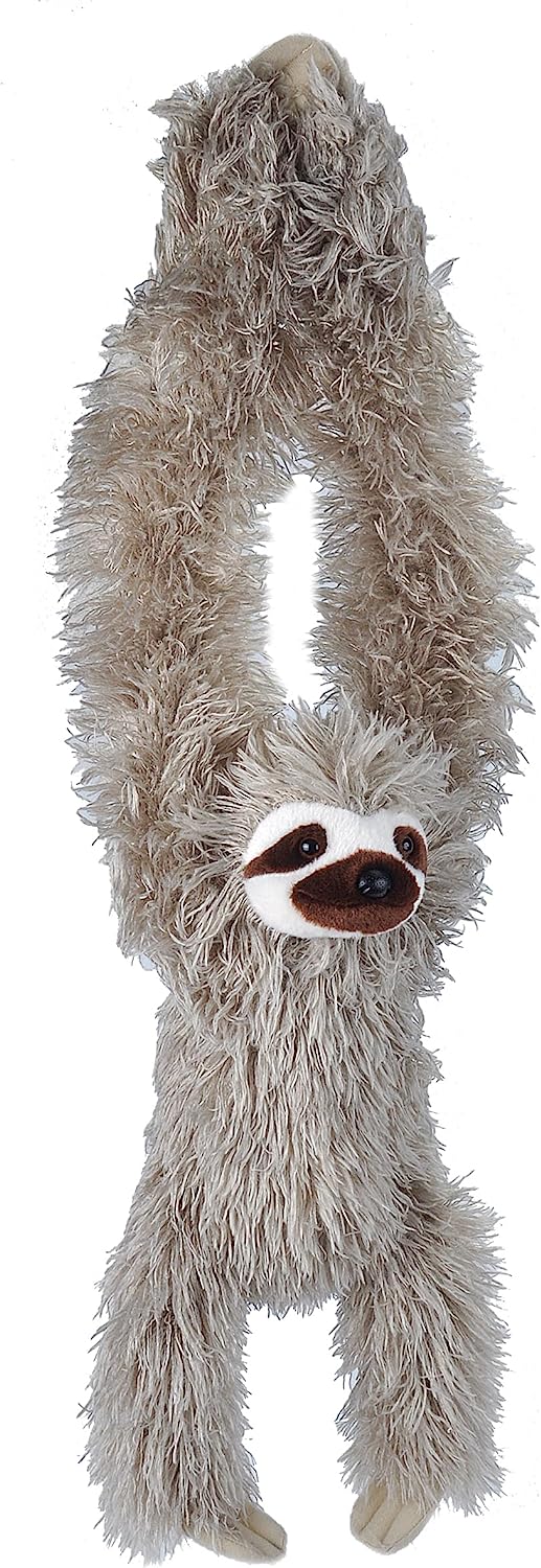 Hanging Three Toed Sloth