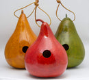 Small Gourd Seeded Birdhouse
