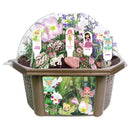 Fanciful Fairy Garden Biosphere Seed Kit Terrarium