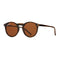 Mayer - Honey Tortoise / Brown Polarized