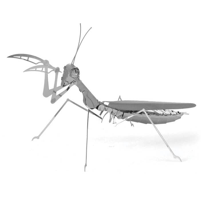 Praying Mantis Model Kit