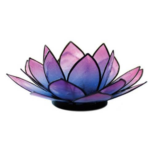 Lotus Tlight