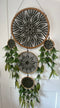 Assorted XL Bamboo Sun Burst Dream Catcher