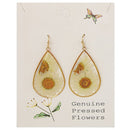 Daisy Duo Gold Teardrop Dried Flower Earrings