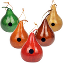Small Gourd Seeded Birdhouse