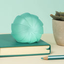 Speks - Gump - Surface