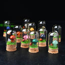 Gemstone Mushroom Bottles
