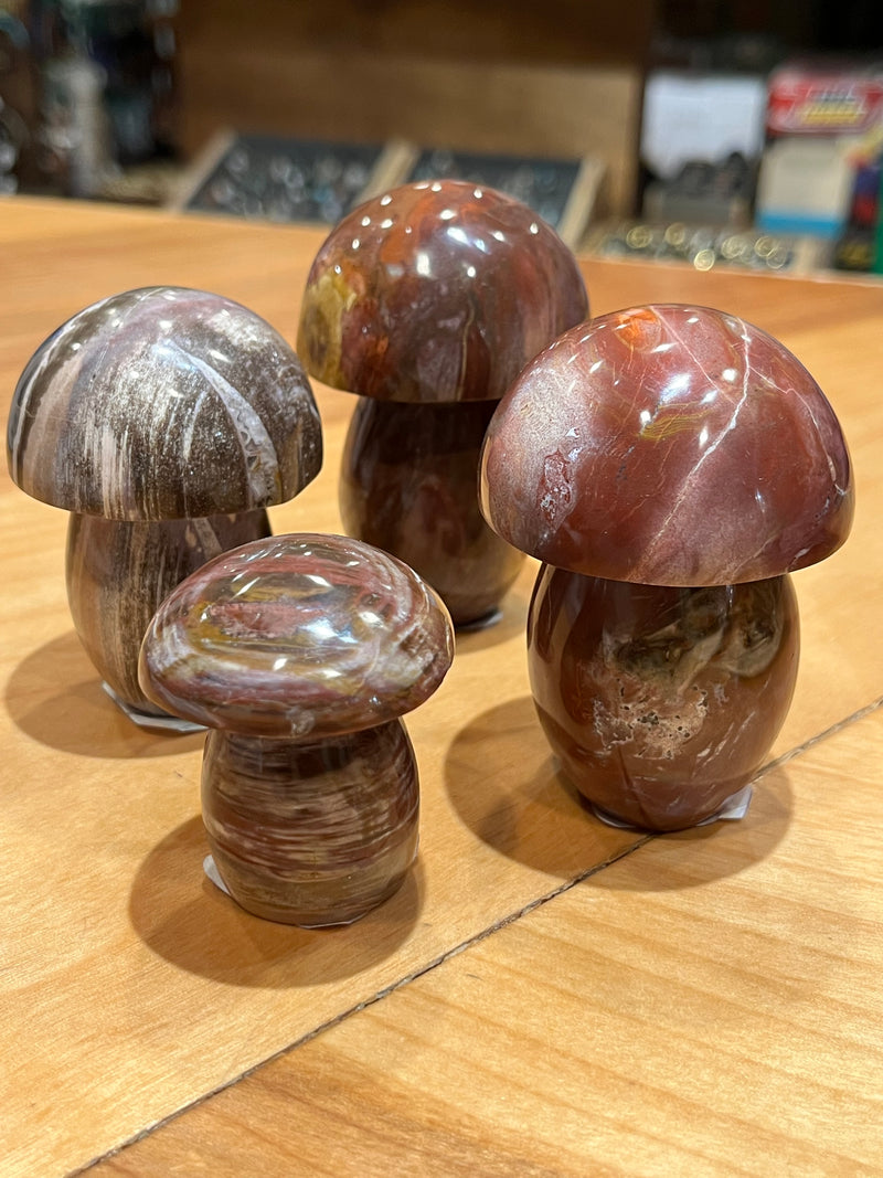 Petrified Wood Mushroom