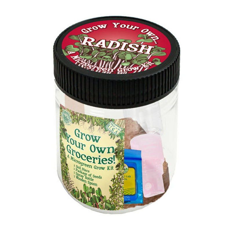 Grow your own Radish