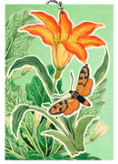 3D Tiger Lily Blank Card