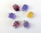 Gemstone Fluorite Turtle