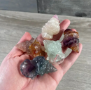 Flourite Gemstone Conch Shell