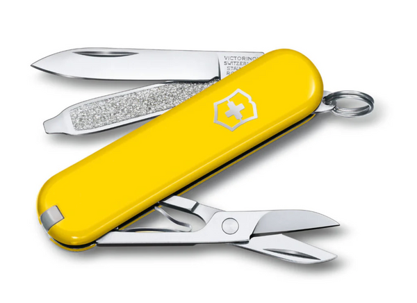 Swiss Army Knife - Sunny Side