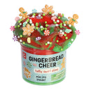 Aurora Toys - Gingerbread Cheer Slime