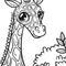 Animal Kingdom XXL Coloring Book