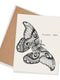 Thank You Card Moth Card Nature Card Bug Card