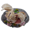 Garlic Dragon