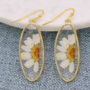 Delicate Daisy Dried Flower Earrings