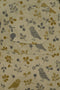Bird Floral Print Overall