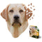 I Am Lab 550 Piece Puzzle