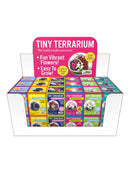 Tiny Terrarium - Flowering