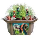 Dinosaur Domain Biosphere Prehistoric Plant Terrarium