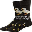 What the Duck Socks- Brown