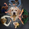 I Am Lab 550 Piece Puzzle