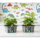 Dinosaur Domain Biosphere Prehistoric Plant Terrarium