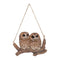 Hanging Baby Owlets On A Branch