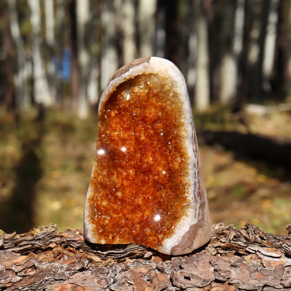 Citrine Cut Base