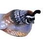 California Quail Stuffed Animal