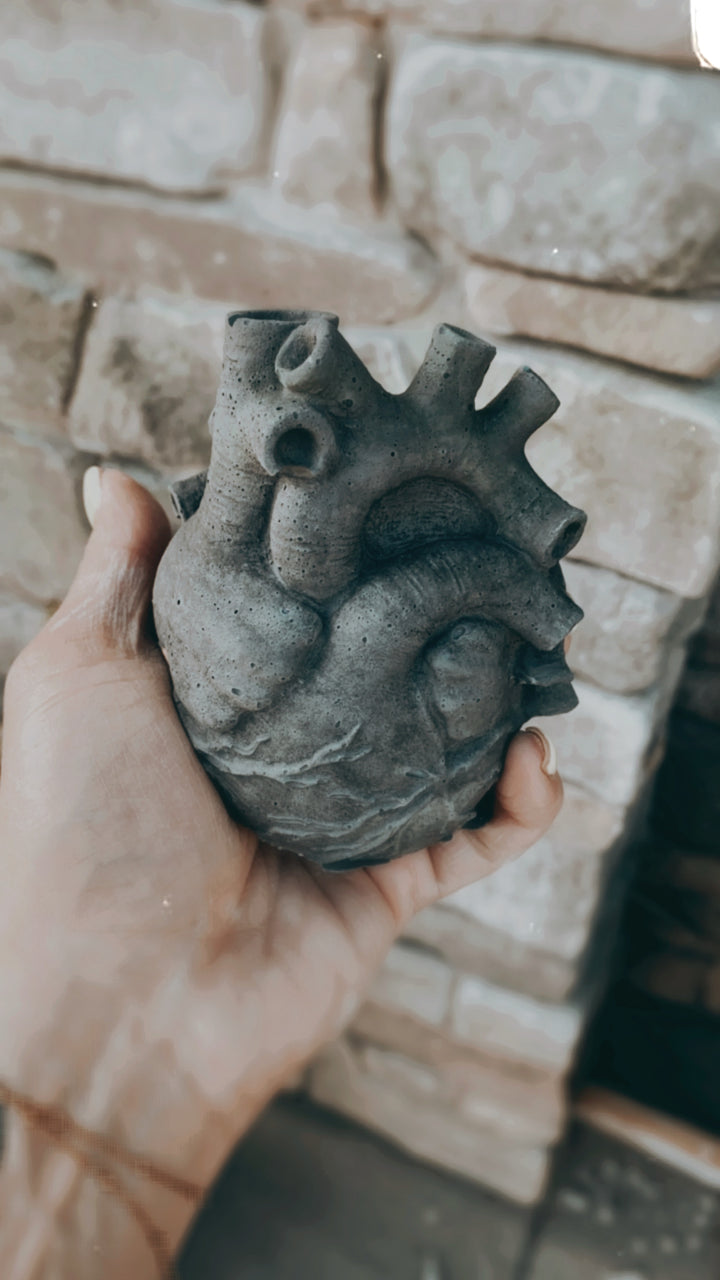 Anatomical Heart Planter - Grey
