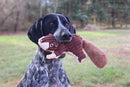 Plush Squirrel  Dog Toy with Squeaker