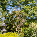 Bohemian-Style Metal "Chobe" Wind Chimes