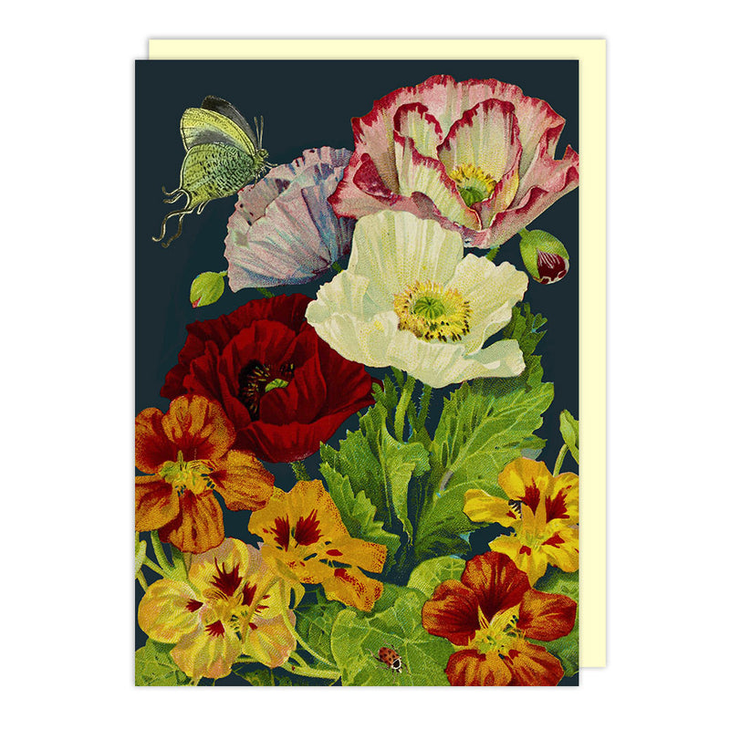 Midnight Poppies Blank Card