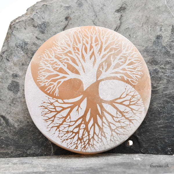 Yin-Yang Tree of Life engraved on Selenite