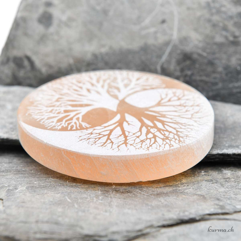 Yin-Yang Tree of Life engraved on Selenite