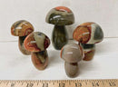 Polychrome Jasper Mushroom